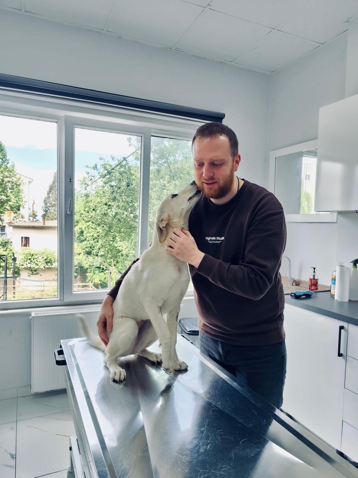 Barsvet Veteriner Kliniği'nde bir hekim muayene masasında köpeği sakinleştiriyor
